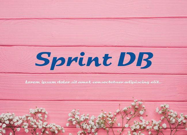 Sprint DB example